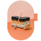 MULTIPACK UMF 10+ (MGO 263) Raw Mānuka Honey 7.9oz - 4 Pack